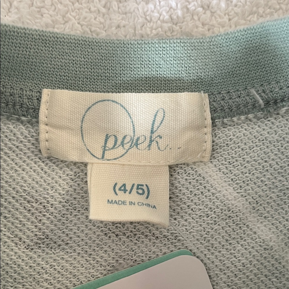 Peek Seafoam Green Cat Print Crewneck Sweatshirt - Picture 2 of 13